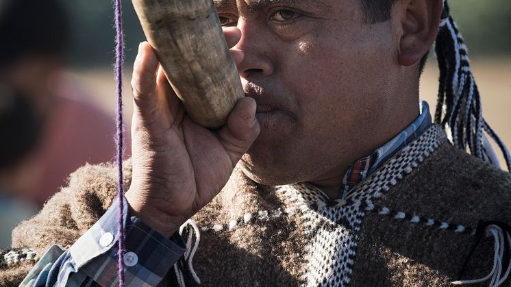 Vino Tayu Ceremonia Mapuche 013.jpg