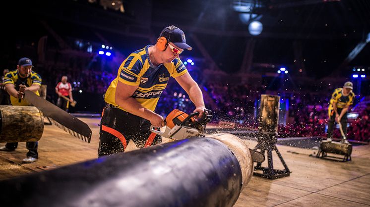 De svenske landshold i TIMBERSPORTS® under VM 2018 i Liverpool. Foto: STIHL TIMBERSPORTS® 