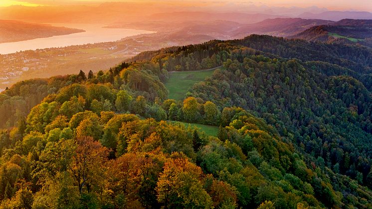 BlickVomUeetlibergUeberDenZuerichsee(c)SchweizTourismus_ChristofSonderegger