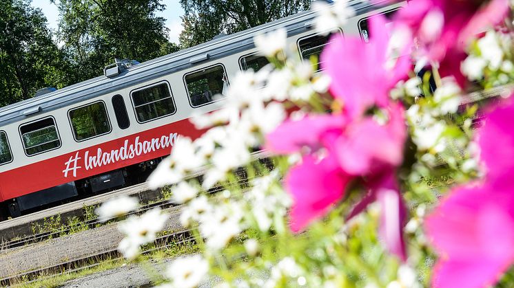 Sommartrafik