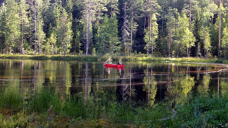 Leyden Fernandez-Vidal och Carla Perez samlar in prover från sjön Alinen Mustajärvi i södra Finland, en av 10 450 miljöer som ingick i studien. Foto: Sari Peura