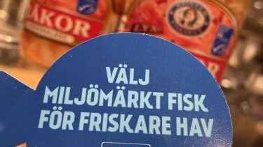 Svenska konsumenter väljer allt oftare miljömärkta fisk-och skaldjur