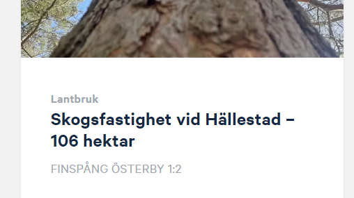 Kolinlagring