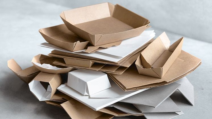 Veolia bündelt Papieraktivitäten unter neuem Namen: Veolia Paper Germany