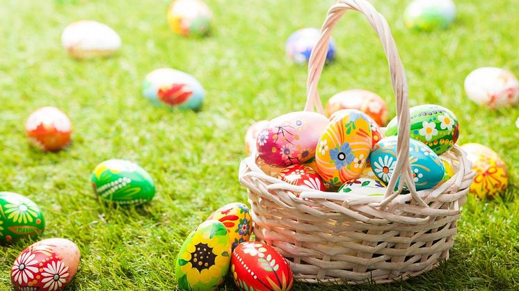 Are you Eggcited?