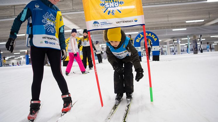 Alla på snö
