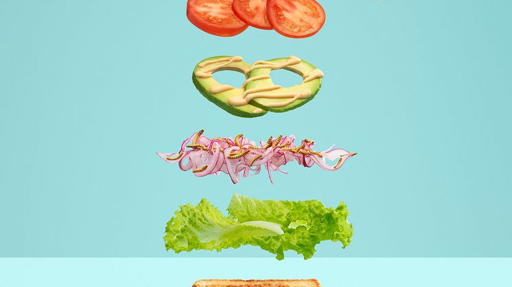 Gräshoppstoast - Carl Kleiner