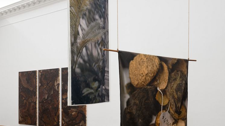 Shiraz Bayjoo, Tangena Ordeal, 2022. Split-architecture 2, 2023. Linda Lamignan, Petroleum Landscapes: If we let it burn, 2023.