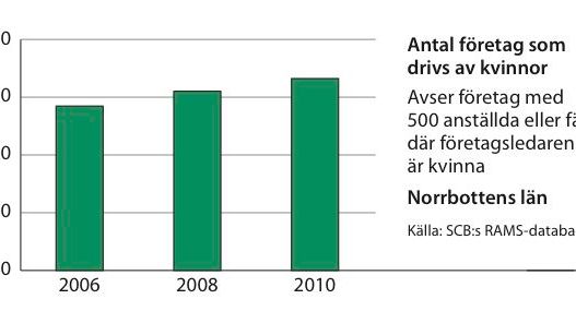 Kvinnors företagande ökar i Norrbottens och Västerbottens län
