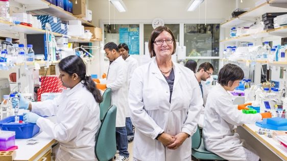 Newly discovered pathway offers hope for better cancer treatment 