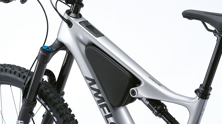 Amflow PL Carbon bike 3.jpg