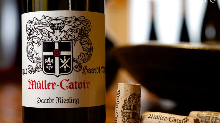 Haardt Riesling.jpg