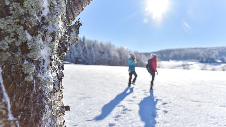 Seiffen im Schnee_Foto S. Wermes
