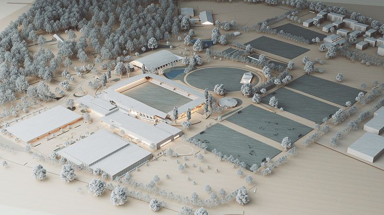 I Karlslunds idrottsområde investerar Landskrona stad drygt 900 miljoner kronor i förbättrad folkhälsa. Skiss: Krook&Tjäder.