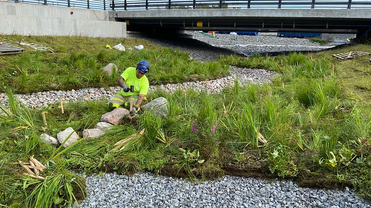 Just nu anläggs Veg Techs strandmattor och ängsmattor i en av Sveriges modernaste stadsmiljöer, Barkabystaden i Järfälla kommun. Här rinner Bällstaån som under många år haft stora problem med föroreningar, erosion och dålig vattenkvalité.