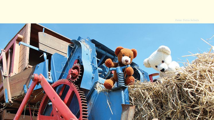 Bärenherz-Kalender für 2016 verfügbar