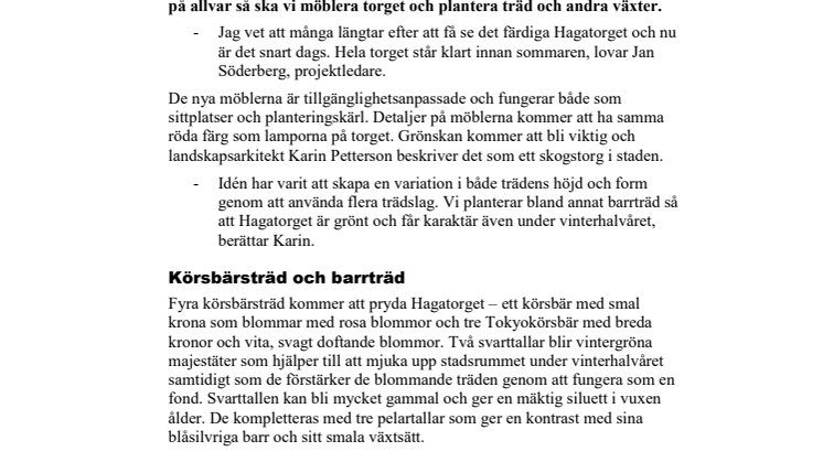 Så kommer Hagatorget att se ut