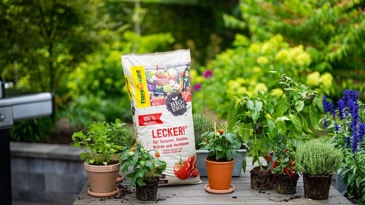 Floragard_Lecker_Pflanztisch
