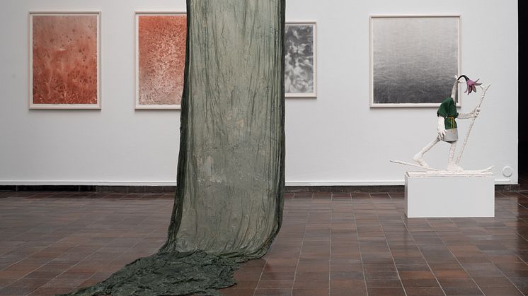 Jag föreställer mig ett hem. Amanda Björk,/Fanny Hellgren/Olof Marsja