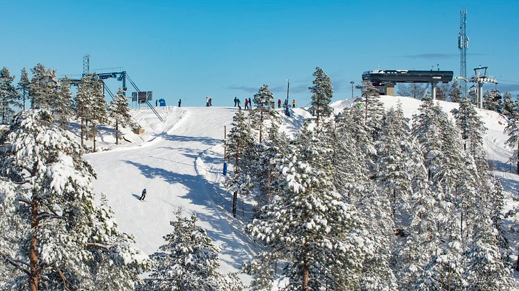 Nytt skidområde i Järvsö_högupplöst