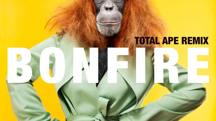 Singelomslag "Bonfire Total Ape Remix"
