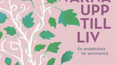 Bokomslag: Att vakna upp till liv 