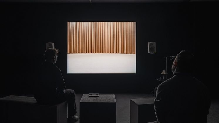 voice under Ester M. Bergsmark_02 