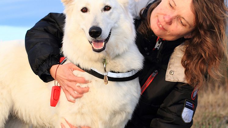 Årets bragdhund 2013