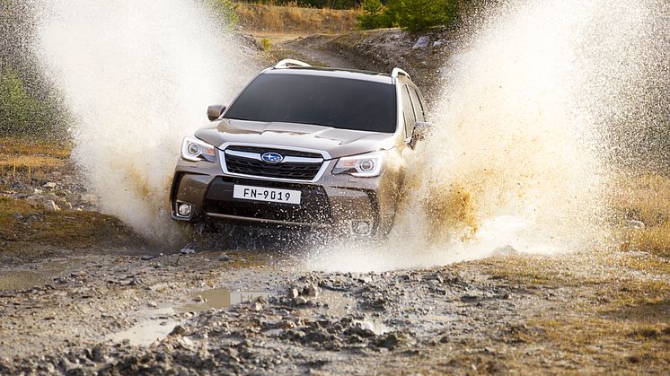 ​Face-lift av Forester inleder nytt rekordår