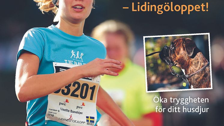 Senaste numret av mySafety magazine