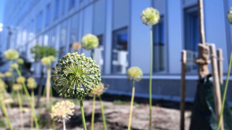 Vi ska bli klimatneutrala 2045