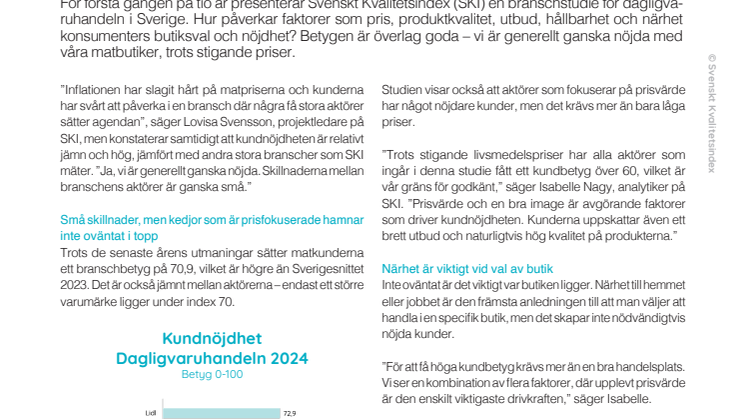SKI Dagligvaruhandel 2024.pdf
