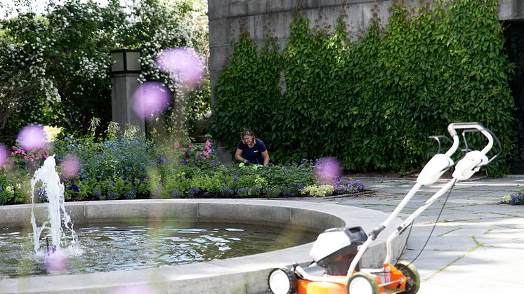 Lukt på blomstene i Vigelandsparken