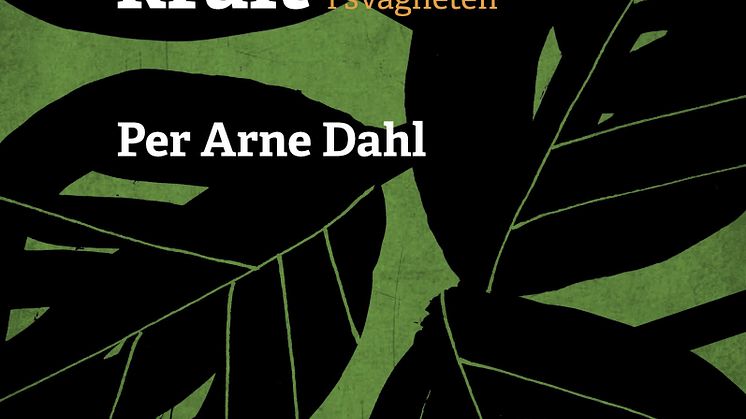 Bokomslag: Sårbarhetens kraft