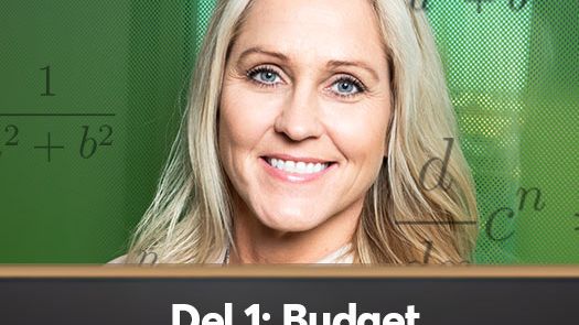 Compricers ekonomiskola del 1: Budget