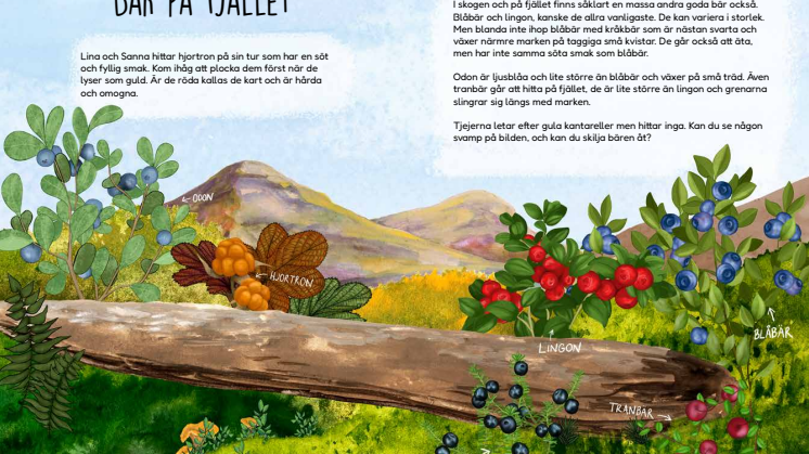 Sida 104-105 Bär på fjället.pdf