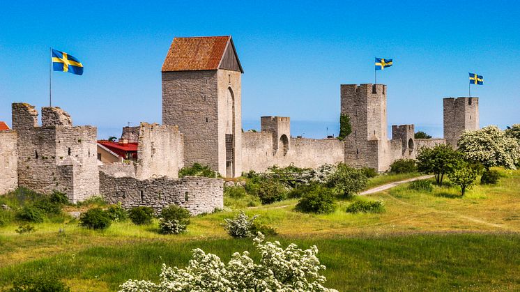 Viking Cinderella gör totalt åtta kryssningar till Visby 2020. Foto: www.gotland.com 