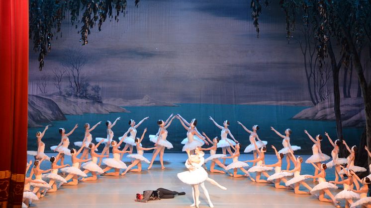                                           St Petersburg Festival Ballet - Svansjön