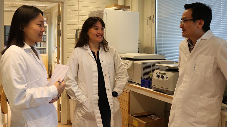Från vänster: Shuang Li, Anastasia Knyazeva och Yaowen Wu. Foto: Anna Shevtsova