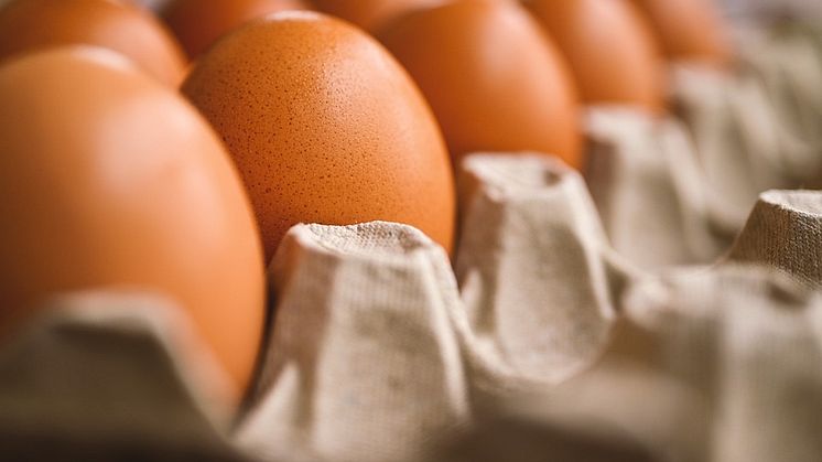 Ägg