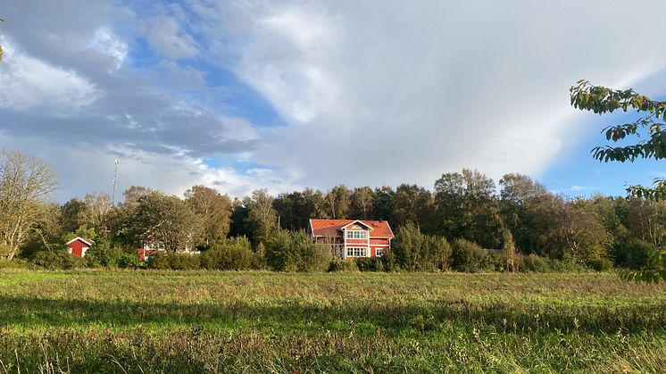 Eksjöhus_Modern-sekelskiftsdröm