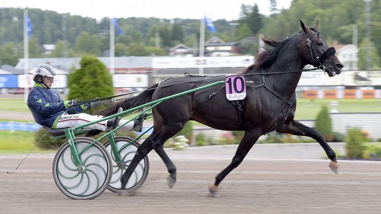 Ringostarr Treb inbjuden till Elitloppet