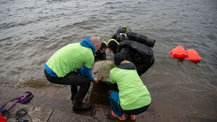 Älvstädningen 2019 Indalsälven
