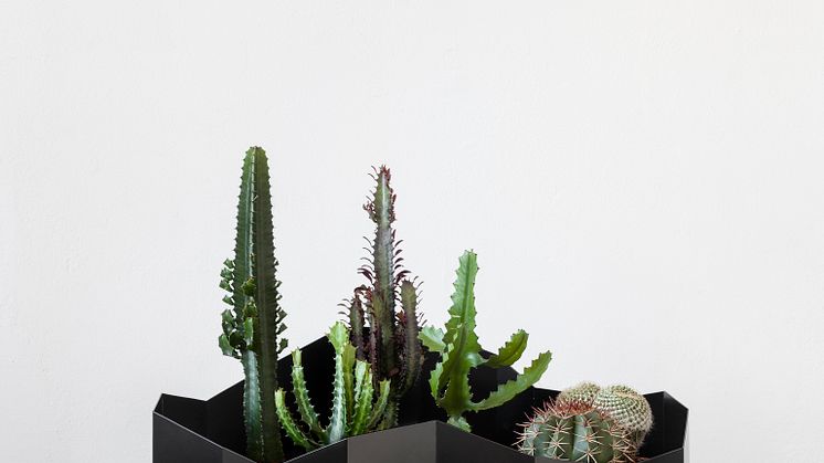 Johanna Palm - Urbana landskap