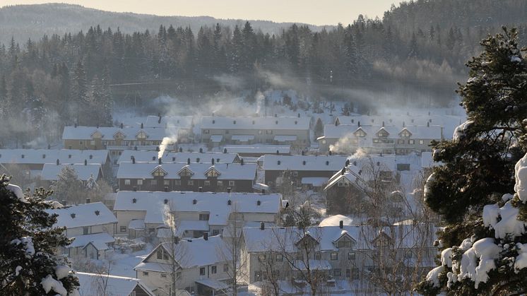 Oslo-vedfyring-foto_Stein_Manø_NILU