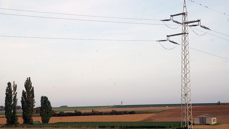 Die Bayernwerk Netz plant den Ersatzneubau von zwei Hochspannungsleitungen zwischen Dürrbachau, Schweinfurt und Rottendorf. Umweltplaner erfassen ab 11. März die Tier- und Pflanzenwelt.