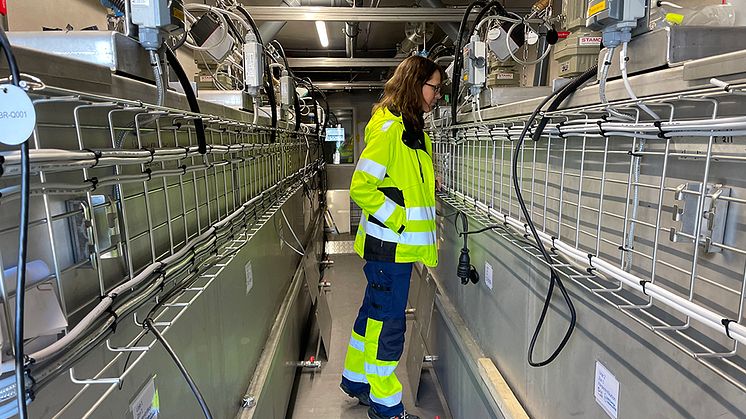 Malin Tuvesson på pilotanläggningen i Sundsvall. Foto: Camilla Borgström, MSVA