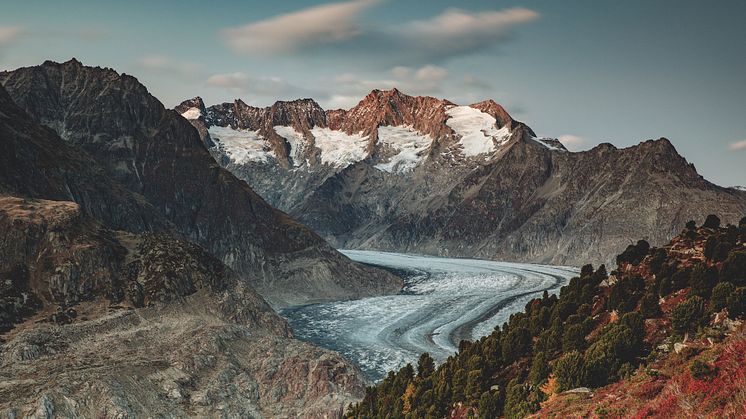 Blick von der Riederalp-Wallis- auf den Aletschgletscher© Switzerland Tourism:Jan Geerk
