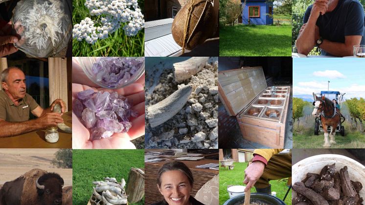 Covermotiv der Studie ‹Die biodynamischen Präparate im Kontext: Individuelle Zugänge zur Präparate-Arbeit. Fallstudien der weltweiten Praxis› der Sektion für Landwirtschaft am Goetheanum