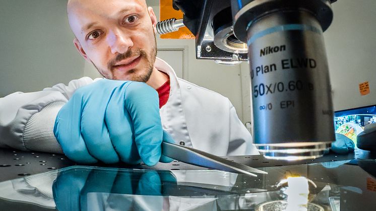 Xenofon Strakosas, forskare vid Laboratoriet för organisk elektronik vid LiU i Norrköping, har fått en forskartjänst inom elektronisk medicin finansierad genom en donation från Stig Wadströms stiftelse. Foto: Thor Balkhed